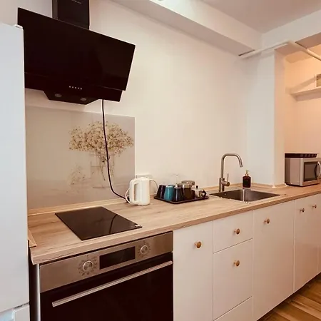 Apartment Neo Opt - Iulius Mall - Timisoara