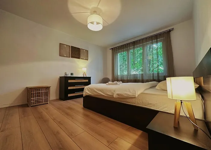 Neo Opt - Iulius Mall - *