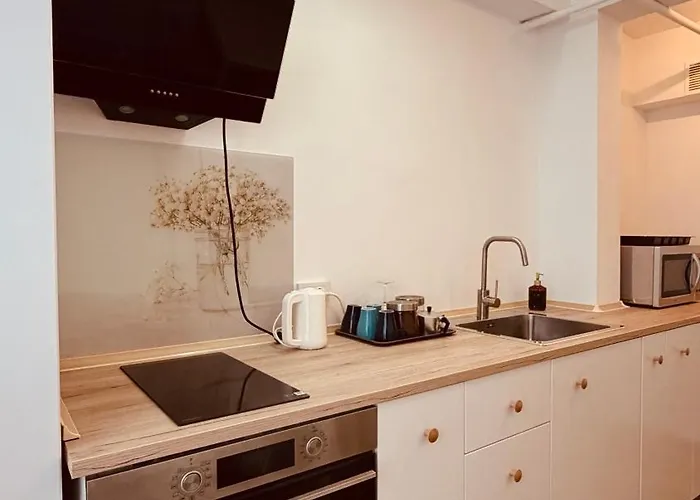 Apartamento Neo Opt - Iulius Mall - Timişoara